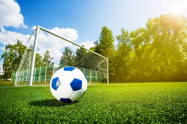 九游体育官方APP 使用指南